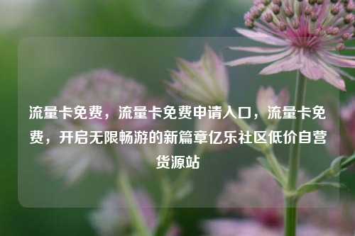流量卡免费，流量卡免费申请入口，流量卡免费	，开启无限畅游的新篇章亿乐社区低价自营货源站  第1张