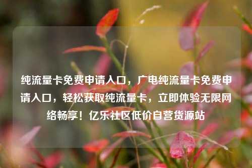 纯流量卡免费申请入口	，广电纯流量卡免费申请入口，轻松获取纯流量卡，立即体验无限网络畅享！亿乐社区低价自营货源站  第1张