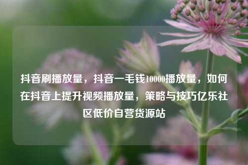 抖音刷播放量，抖音一毛钱10000播放量	，如何在抖音上提升视频播放量，策略与技巧亿乐社区低价自营货源站  第1张