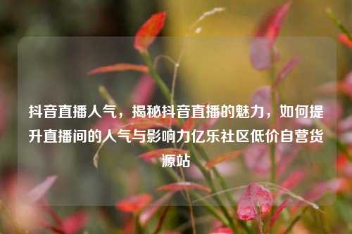 抖音直播人气，揭秘抖音直播的魅力，如何提升直播间的人气与影响力亿乐社区低价自营货源站  第1张