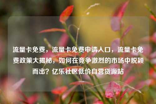 流量卡免费	，流量卡免费申请入口，流量卡免费政策大揭秘，如何在竞争激烈的市场中脱颖而出？亿乐社区低价自营货源站  第1张