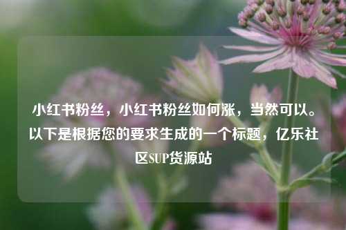 小红书粉丝，小红书粉丝如何涨，当然可以。以下是根据您的要求生成的一个标题	，亿乐社区SUP货源站  第1张