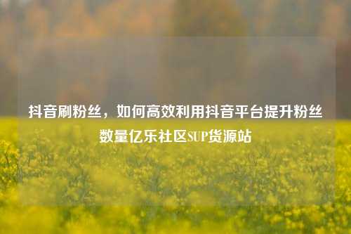 抖音刷粉丝	，如何高效利用抖音平台提升粉丝数量亿乐社区SUP货源站  第1张