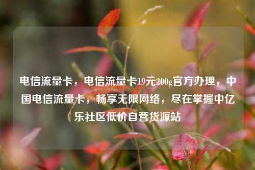 电信流量卡，电信流量卡19元200g官方办理，中国电信流量卡	，畅享无限网络，尽在掌握中亿乐社区低价自营货源站  第1张