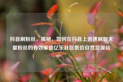 抖音刷粉丝，揭秘，如何在抖音上迅速刷取大量粉丝的有效策略亿乐社区低价自营货源站  第1张