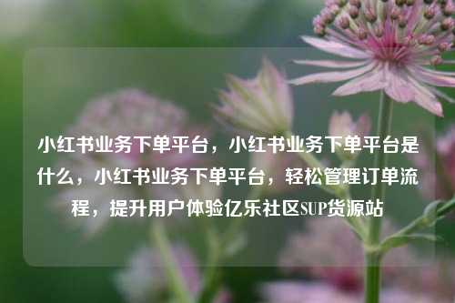 小红书业务下单平台，小红书业务下单平台是什么，小红书业务下单平台，轻松管理订单流程，提升用户体验亿乐社区SUP货源站  第1张
