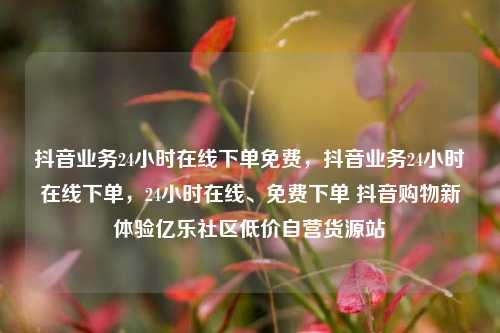 抖音业务24小时在线下单免费，抖音业务24小时在线下单，24小时在线、免费下单 抖音购物新体验亿乐社区低价自营货源站  第1张