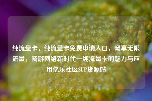 纯流量卡	，纯流量卡免费申请入口，畅享无限流量，畅游网络新时代—纯流量卡的魅力与应用亿乐社区SUP货源站  第1张