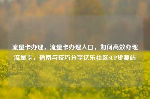 流量卡办理，流量卡办理入口，如何高效办理流量卡，指南与技巧分享亿乐社区SUP货源站  第1张