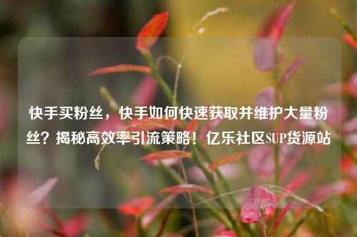 快手买粉丝，快手如何快速获取并维护大量粉丝？揭秘高效率引流策略！亿乐社区SUP货源站  第1张