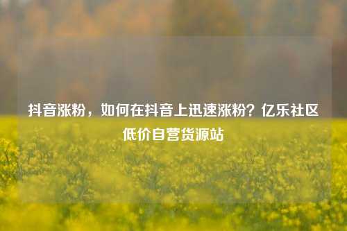抖音涨粉，如何在抖音上迅速涨粉？亿乐社区低价自营货源站  第1张