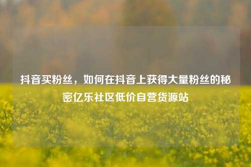 抖音买粉丝，如何在抖音上获得大量粉丝的秘密亿乐社区低价自营货源站  第1张