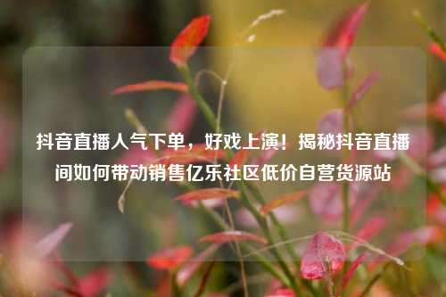 抖音直播人气下单，好戏上演！揭秘抖音直播间如何带动销售亿乐社区低价自营货源站  第1张