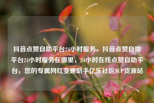 抖音点赞自助平台24小时服务	，抖音点赞自助平台24小时服务在哪里，24小时在线点赞自助平台，您的专属网红变现助手亿乐社区SUP货源站  第1张