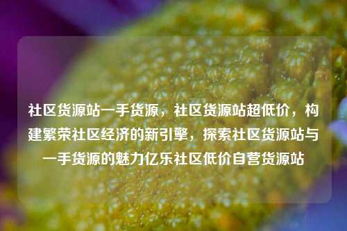 社区货源站一手货源	，社区货源站超低价，构建繁荣社区经济的新引擎，探索社区货源站与一手货源的魅力亿乐社区低价自营货源站  第1张