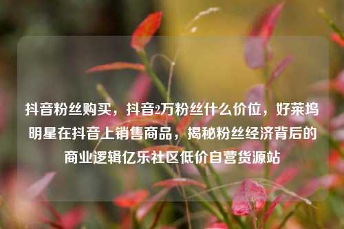抖音粉丝购买，抖音2万粉丝什么价位，好莱坞明星在抖音上销售商品	，揭秘粉丝经济背后的商业逻辑亿乐社区低价自营货源站  第1张