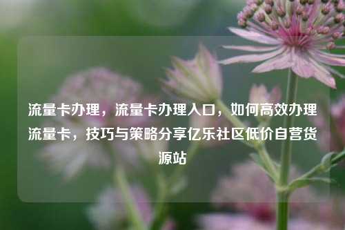 流量卡办理，流量卡办理入口，如何高效办理流量卡	，技巧与策略分享亿乐社区低价自营货源站  第1张