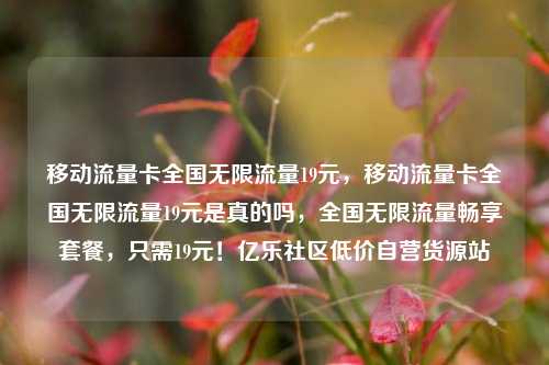 移动流量卡全国无限流量19元，移动流量卡全国无限流量19元是真的吗，全国无限流量畅享套餐	，只需19元！亿乐社区低价自营货源站  第1张