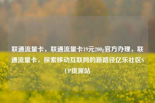联通流量卡，联通流量卡19元200g官方办理，联通流量卡	，探索移动互联网的新路径亿乐社区SUP货源站  第1张