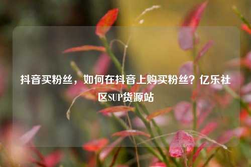 抖音买粉丝，如何在抖音上购买粉丝？亿乐社区SUP货源站  第1张