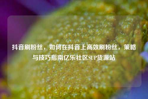 抖音刷粉丝，如何在抖音上高效刷粉丝，策略与技巧指南亿乐社区SUP货源站  第1张