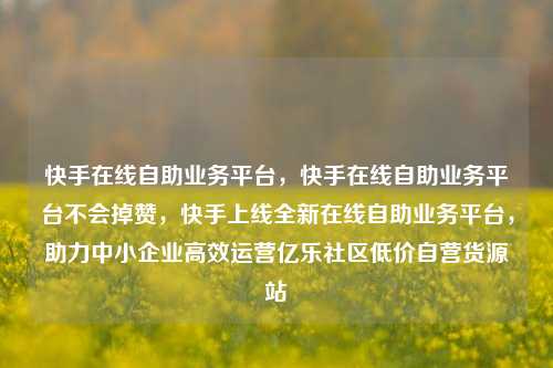 快手在线自助业务平台，快手在线自助业务平台不会掉赞，快手上线全新在线自助业务平台	，助力中小企业高效运营亿乐社区低价自营货源站  第1张