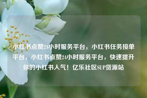 小红书点赞24小时服务平台，小红书任务接单平台	，小红书点赞24小时服务平台，快速提升你的小红书人气！亿乐社区SUP货源站  第1张