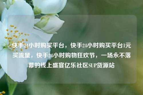 快手24小时购买平台，快手24小时购买平台1元买流量	，快手24小时购物狂欢节，一场永不落幕的线上盛宴亿乐社区SUP货源站  第1张