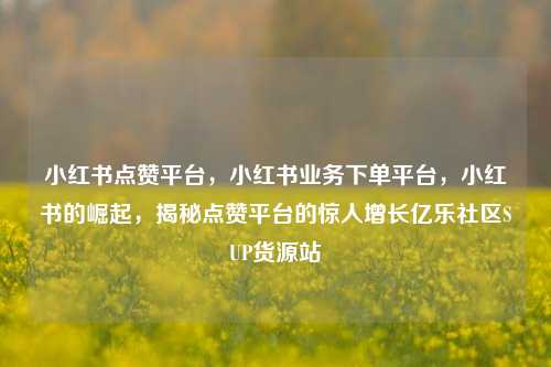 小红书点赞平台	，小红书业务下单平台，小红书的崛起，揭秘点赞平台的惊人增长亿乐社区SUP货源站  第1张