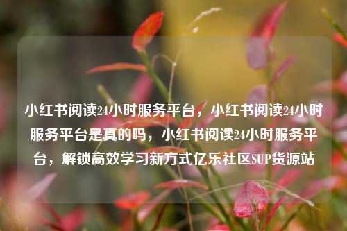 小红书阅读24小时服务平台	，小红书阅读24小时服务平台是真的吗，小红书阅读24小时服务平台，解锁高效学习新方式亿乐社区SUP货源站  第1张