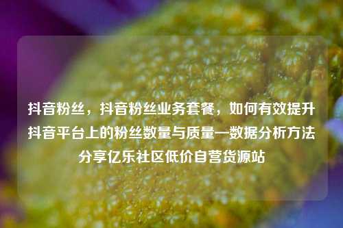 抖音粉丝，抖音粉丝业务套餐	，如何有效提升抖音平台上的粉丝数量与质量—数据分析方法分享亿乐社区低价自营货源站  第1张